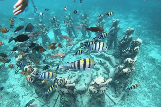 Gili Trawangan,Gili Meno& Gili Air Island:Snorkeling Day Trip Depart from Lombok - Gili island snorkeling day trip: key points