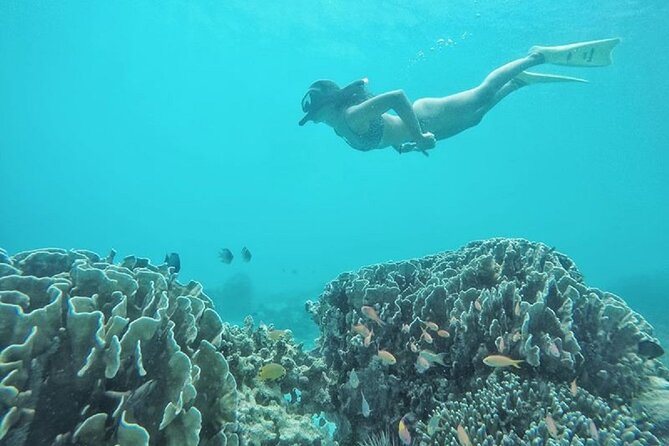 Gili Trawangan,Gili Meno& Gili Air Island:Snorkeling Day Trip Depart from Lombok - The 7:30 a.m. pickup from Lombok hotels