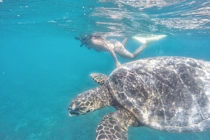Gili Trawangan,Gili Meno& Gili Air Island:Snorkeling Day Trip Depart from Lombok - What the $86 price really covers