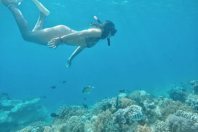 Gili Trawangan,Gili Meno& Gili Air Island:Snorkeling Day Trip Depart from Lombok - What to pack for a smoother day