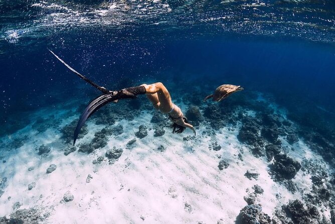 Gili Trawangan : Private Snorkeling with 3 spots or 4 spots - Key points to know before booking