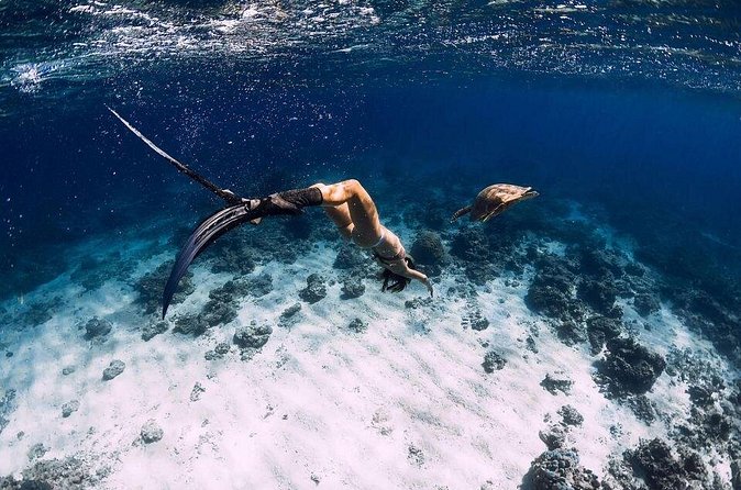 Gili Trawangan : Private Snorkeling with 3 spots or 4 spots - Choosing between three spots and four