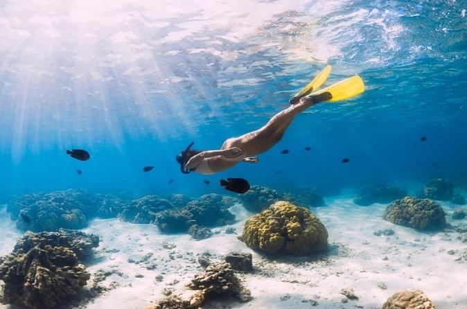 Gili Trawangan : Private Snorkeling with 3 spots or 4 spots - How the private format changes the experience