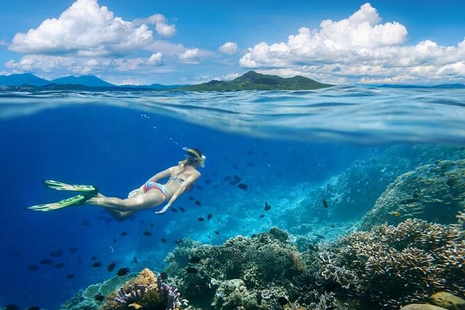 Gili Trawangan : Private Snorkeling with 3 spots or 4 spots - Blue coral reefs to start the morning