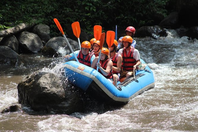 Green Bali Rafting Ticket And Transfer - Training and safety come first at Ayung River