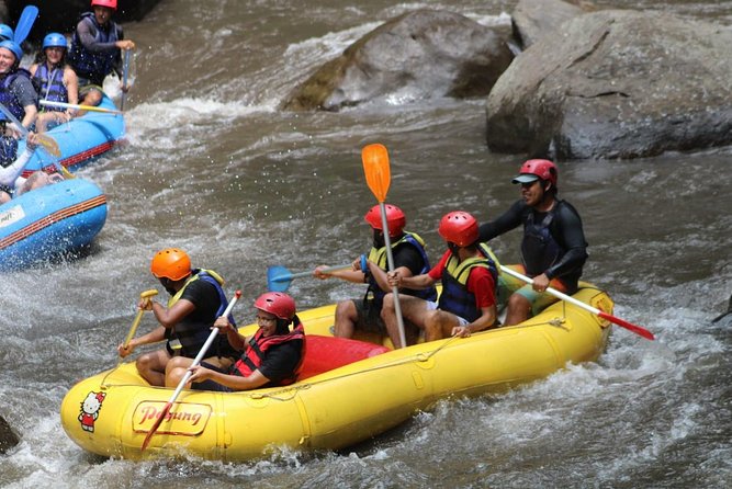 Green Bali Rafting Ticket And Transfer - Who will enjoy this most?