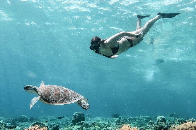 Group Snorkeling Tour Gili Islands Including GoPro Documentation - The shared GoPro and underwater photos