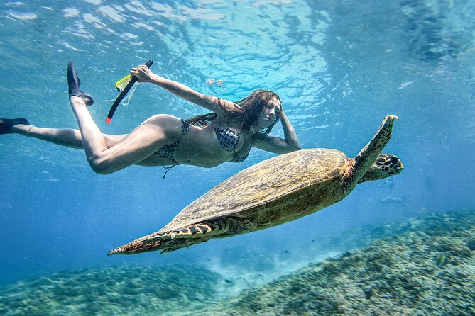 Group Snorkeling Tour Gili Islands Including GoPro Documentation - Safety, comfort, and what to bring