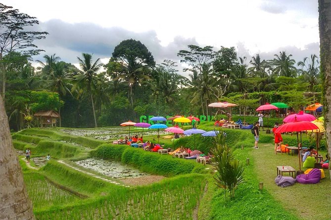 Half Day Cycling Tour ( Manual Bike ) - Coffee, palms, and a pause in Taro Village