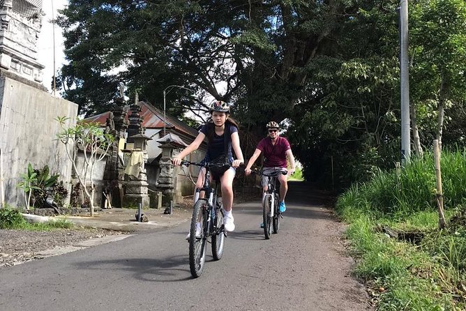 Half Day Cycling Tour ( Manual Bike ) - Finishing near Payangan and lunch at Greenkubu