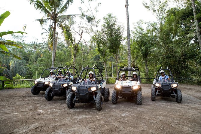 Half Day Jungle Buggies in Bali with Guide - Key points before you book