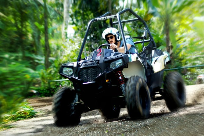 Half Day Jungle Buggies in Bali with Guide - What the Bali jungle buggy experience is really like
