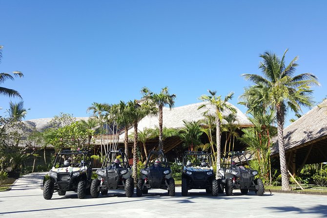 Half Day Jungle Buggies in Bali with Guide - Who will enjoy this most