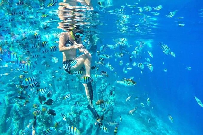Half-Day Private Guided Snorkeling Turtles Underwater Statues - Key points before you book