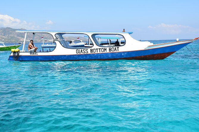 Half-Day Private Guided Snorkeling Turtles Underwater Statues - Fish Garden, Turtle Point, and the best chance for turtles