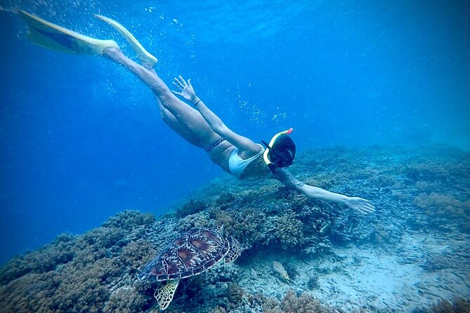 Half-Day Private Guided Snorkeling Turtles Underwater Statues - Morning departures and GoPro photos