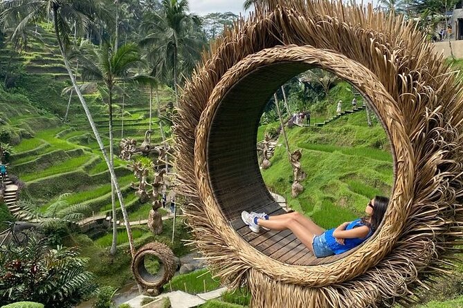 Half Day Private Tour in Ubud - The art village, coffee, and possible additions