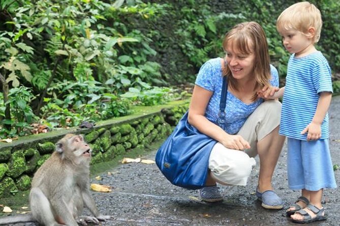 Half Day Private Tour in Ubud - Monkey Forest: macaques, temples, and useful rules