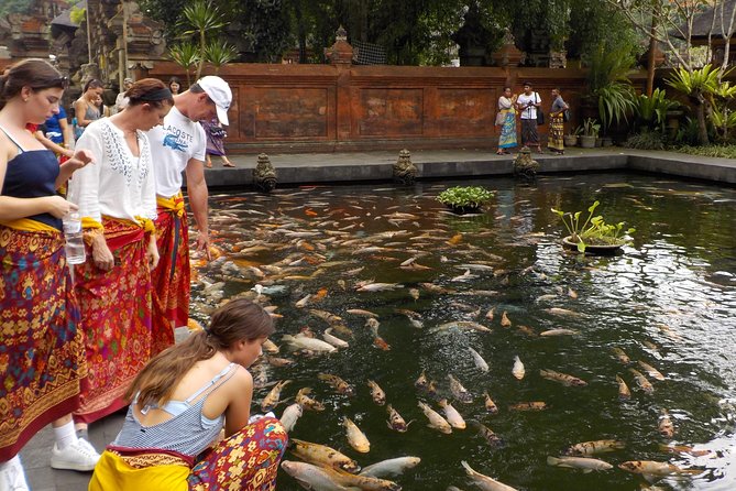 Half-Day Ubud Electric Cycling Tour to Tirta Empul Water Temple - Why the electric bicycle changes the morning