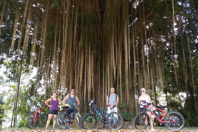 Half-Day Ubud Electric Cycling Tour to Tirta Empul Water Temple - The ride itself: scenic, active, and not completely easy