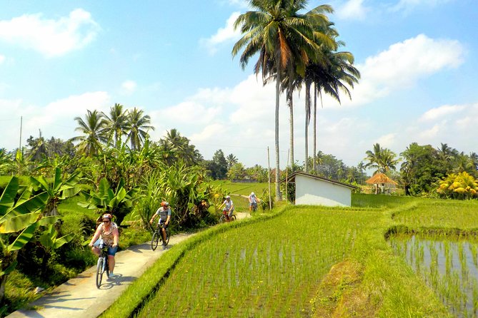 Half-Day Ubud Electric Cycling Tour to Tirta Empul Water Temple - Lunch after the temple visit