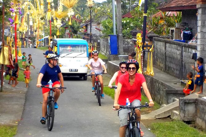 Half-Day Ubud Electric Cycling Tour to Tirta Empul Water Temple - How the $49 price works for you