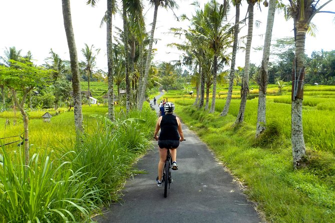 Half-Day Ubud Electric Cycling Tour to Tirta Empul Water Temple - Starting at 8:00 from Banjar Laplapan