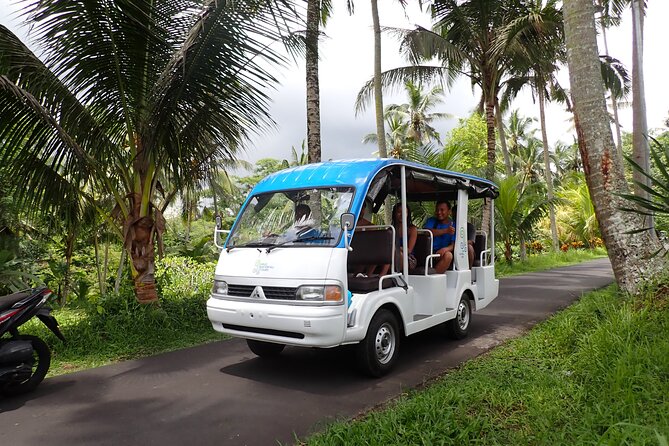 Half Day Ubud Waterfall Tour - Key points to know before booking