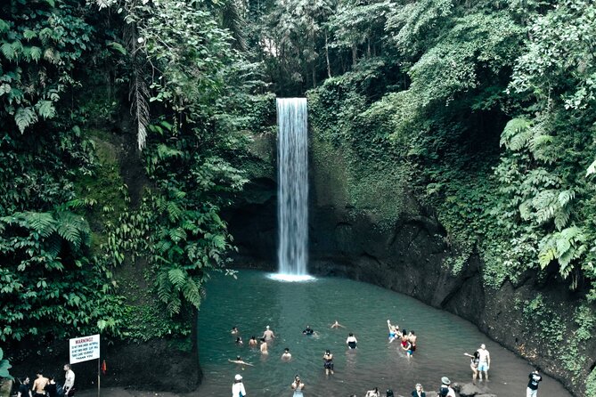 Half Day Ubud Waterfall Tour - How good is the $32 price?