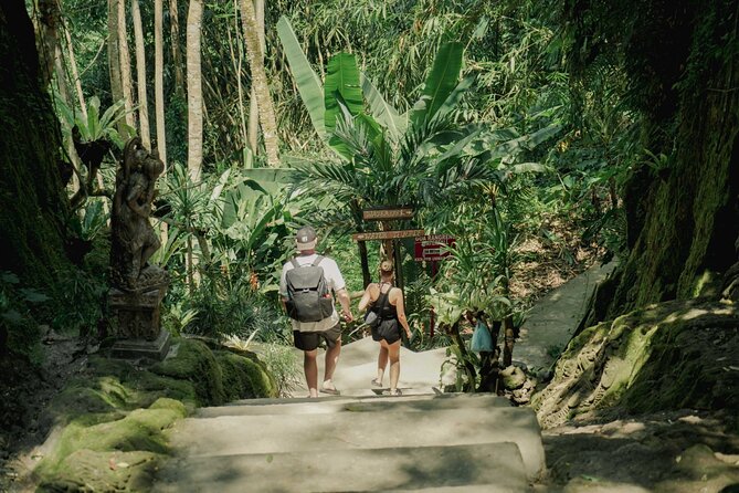 Half Day Ubud Waterfall Tour - Taman Sari Waterfall and its natural pool