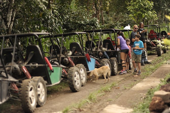Haunted Valley Waterfall ATV and Bike Tour - Rice fields, plantations, and village roads
