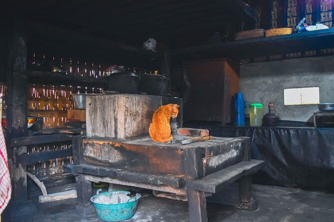 Highlight of Bali Tour - What this Bali day tour is really designed to do