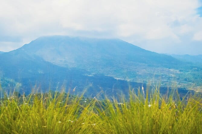 Highlight of Bali Tour - Sri Batu plantation and the Luwak coffee stop