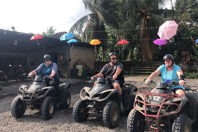 Highlight of Bali Tour - Kintamani and the Mount Batur view