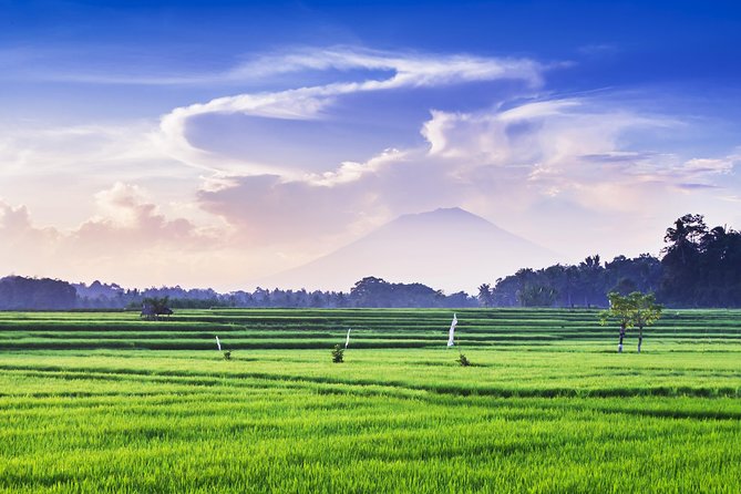 Highlights of Ubud & Mount Batur Volcano - Private Day Trip - The guide is the heart of the experience