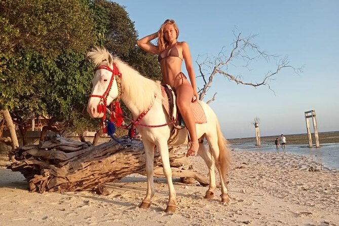 Horse Ride On The Beach Gili Islands - Key Points About the Gili Trawangan Beach Ride