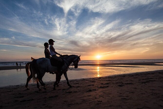 Horse Riding on the Black Sand Beach and Free Hotel Transfers - Key points to know before you book
