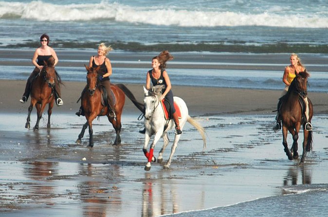 Horse Riding on the Black Sand Beach and Free Hotel Transfers - Horse care and the feel of the outing
