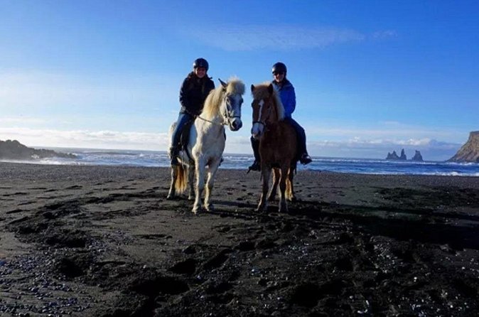Horse Riding on the Black Sand Beach and Free Hotel Transfers - Who will enjoy this experience most