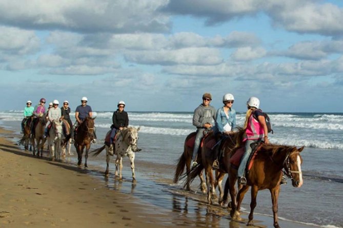 Horse Riding on the Black Sand Beach and Free Hotel Transfers - What the four-hour schedule actually includes