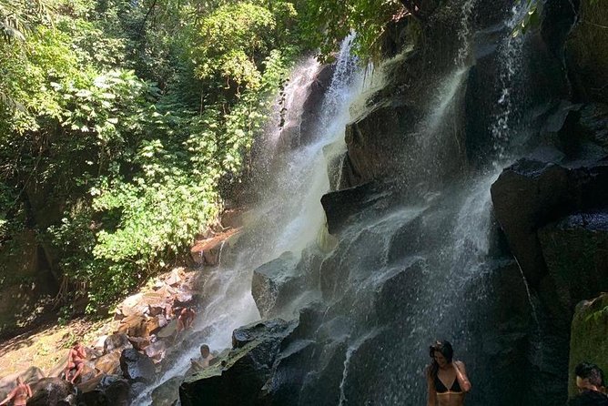 Individual Bali Day Trip with Private Driver and Free WiFi - Central and north Bali: lakes, terraces, and mountain roads