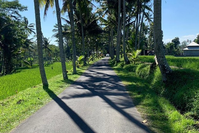Individual Bali Day Trip with Private Driver and Free WiFi - East Bali and the Gate of Heaven