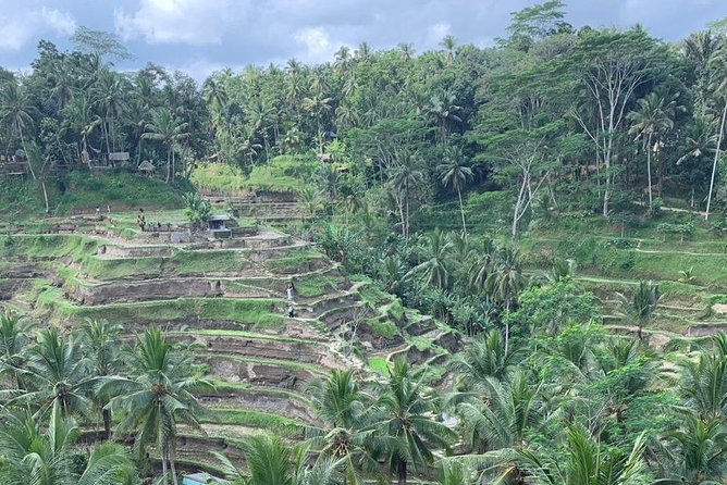 Individual Bali Day Trip with Private Driver and Free WiFi - West coast, Sanur, and city options