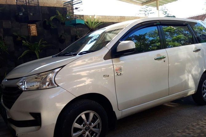 Individual Bali Day Trip with Private Driver and Free WiFi - The driver makes or breaks the day