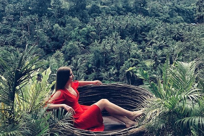 Individual Bali Day Trip with Private Driver and Free WiFi - Price, comfort, and what you still pay