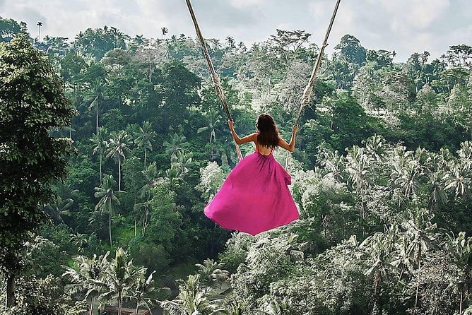 Individual Bali Day Trip with Private Driver and Free WiFi - Ubud in eight hours: monkeys, art, rice fields, and holy water