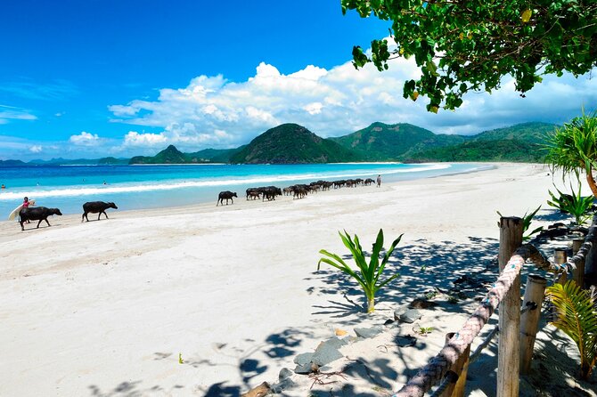 Instagramable Beach Hopping Trip - Kuta Mandalika gives you the longest central stop