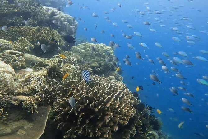 Island Hoping 5 Gili : Gili Gede, Asahan, Rengit, Layar & Goleng - Gili Asahan, the Best Place to Slow Down