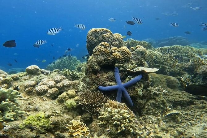 Island Hoping 5 Gili : Gili Gede, Asahan, Rengit, Layar & Goleng - What About Gili Goleng?