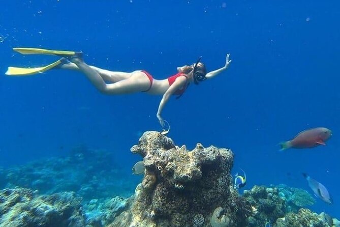 Island Hoping 5 Gili : Gili Gede, Asahan, Rengit, Layar & Goleng - Snorkeling, Wildlife, and Conditions